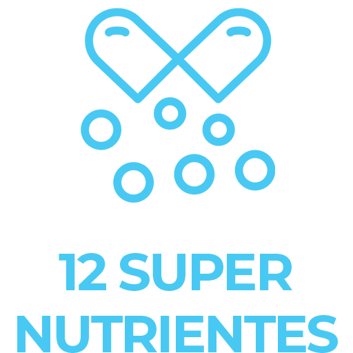 ICON- nutrientes